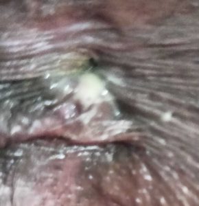 WhatsApp-Image-2024-10-29-at-02.35.09_868a7732-1-1